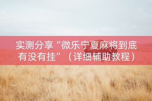 实测分享“微乐宁夏麻将到底有没有挂”（详细辅助教程）-哔哩哔哩