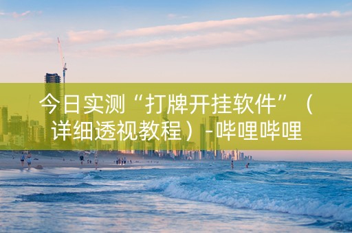 今日实测“打牌开挂软件”（详细透视教程）-哔哩哔哩