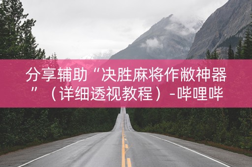 分享辅助“决胜麻将作敝神器”（详细透视教程）-哔哩哔哩