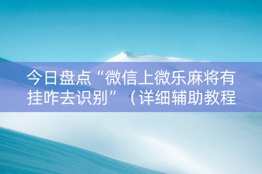 今日盘点“微信上微乐麻将有挂咋去识别”（详细辅助教程）-哔哩哔哩
