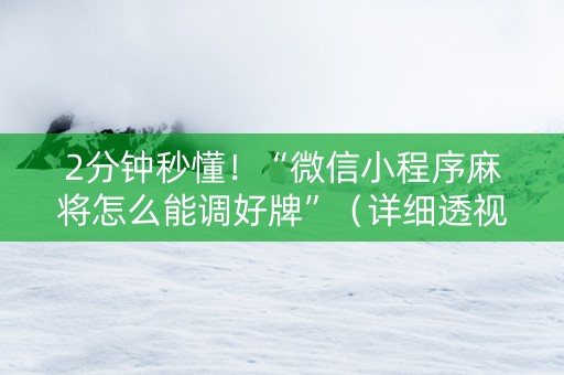 2分钟秒懂！“微信小程序麻将怎么能调好牌”（详细透视教程）-哔哩哔哩