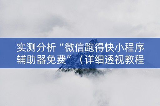 实测分析“微信跑得快小程序辅助器免费”（详细透视教程）-哔哩哔哩