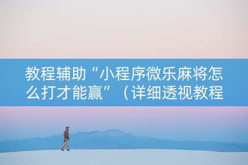 教程辅助“小程序微乐麻将怎么打才能赢”（详细透视教程）-哔哩哔哩