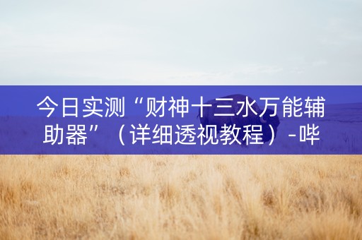 今日实测“财神十三水万能辅助器”（详细透视教程）-哔哩哔哩