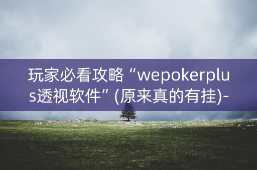 玩家必看攻略“wepokerplus透视软件”(原来真的有挂)-知乎