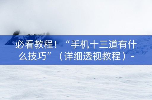 必看教程！“手机十三道有什么技巧”（详细透视教程）-哔哩哔哩