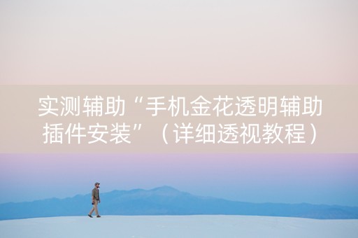 实测辅助“手机金花透明辅助插件安装”（详细透视教程）-哔哩哔哩