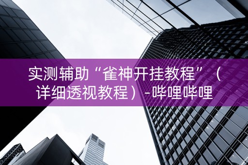 实测辅助“雀神开挂教程”（详细透视教程）-哔哩哔哩