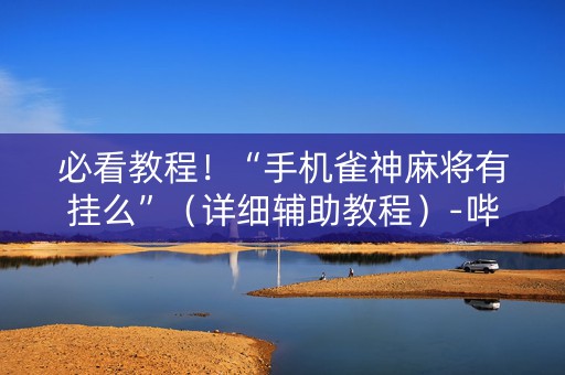 必看教程！“手机雀神麻将有挂么”（详细辅助教程）-哔哩哔哩