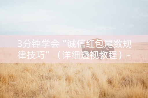3分钟学会“诚信红包尾数规律技巧”（详细透视教程）-哔哩哔哩