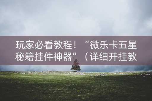玩家必看教程！“微乐卡五星秘籍挂件神器”（详细开挂教程）-哔哩哔哩