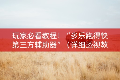玩家必看教程！“多乐跑得快第三方辅助器”（详细透视教程）-哔哩哔哩