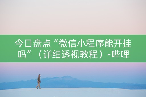 今日盘点“微信小程序能开挂吗”（详细透视教程）-哔哩哔哩