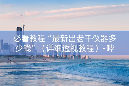 必看教程“最新出老千仪器多少钱”（详细透视教程）-哔哩哔哩