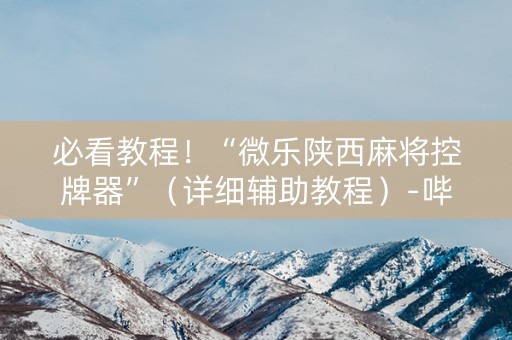 必看教程！“微乐陕西麻将控牌器”（详细辅助教程）-哔哩哔哩