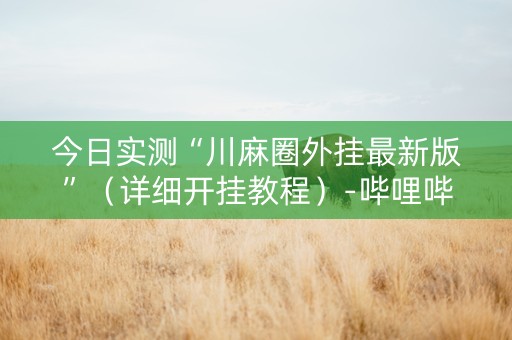 今日实测“川麻圈外挂最新版”（详细开挂教程）-哔哩哔哩