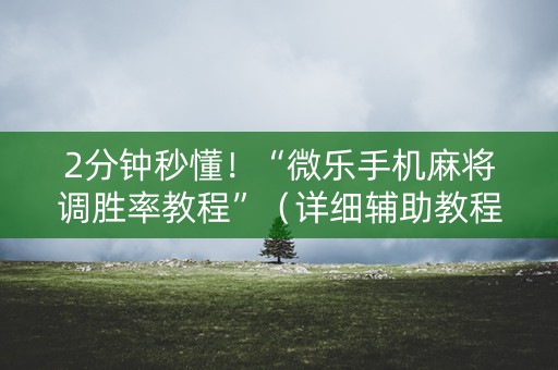 2分钟秒懂！“微乐手机麻将调胜率教程”（详细辅助教程）-哔哩哔哩