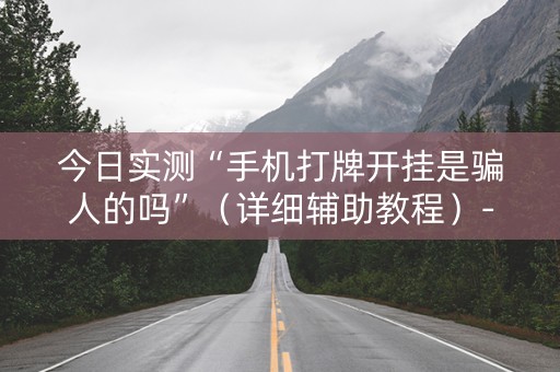 今日实测“手机打牌开挂是骗人的吗”（详细辅助教程）-哔哩哔哩