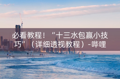 必看教程！“十三水包赢小技巧”（详细透视教程）-哔哩哔哩