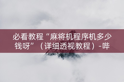 必看教程“麻将机程序机多少钱呀”（详细透视教程）-哔哩哔哩