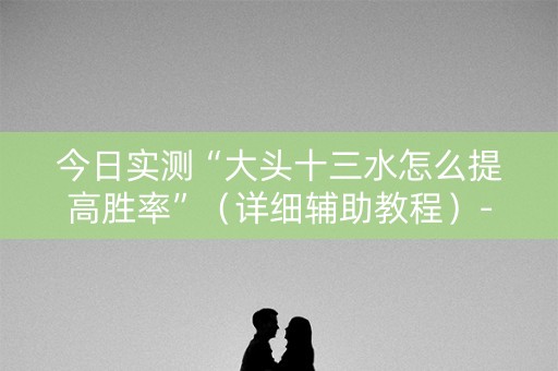 今日实测“大头十三水怎么提高胜率”（详细辅助教程）-哔哩哔哩