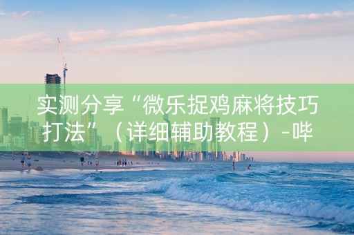 实测分享“微乐捉鸡麻将技巧打法”（详细辅助教程）-哔哩哔哩