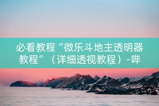 必看教程“微乐斗地主透明器教程”（详细透视教程）-哔哩哔哩