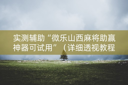 实测辅助“微乐山西麻将助赢神器可试用”（详细透视教程）-哔哩哔哩