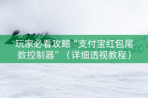 玩家必看攻略“支付宝红包尾数控制器”（详细透视教程）-哔哩哔哩