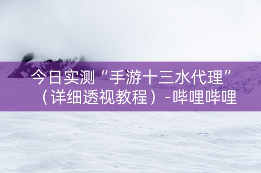 今日实测“手游十三水代理”（详细透视教程）-哔哩哔哩