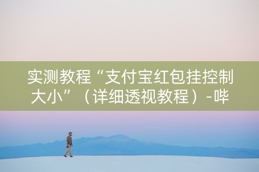 实测教程“支付宝红包挂控制大小”（详细透视教程）-哔哩哔哩