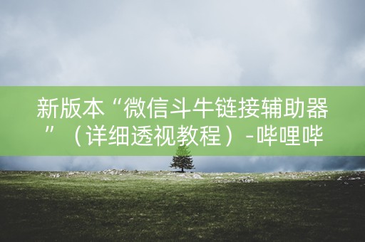 新版本“微信斗牛链接辅助器”（详细透视教程）-哔哩哔哩