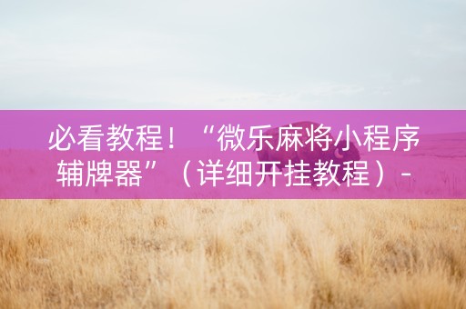必看教程！“微乐麻将小程序辅牌器”（详细开挂教程）-哔哩哔哩