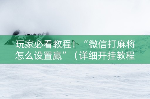 玩家必看教程！“微信打麻将怎么设置赢”（详细开挂教程）-哔哩哔哩