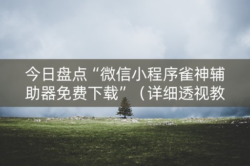 今日盘点“微信小程序雀神辅助器免费下载”（详细透视教程）-哔哩哔哩