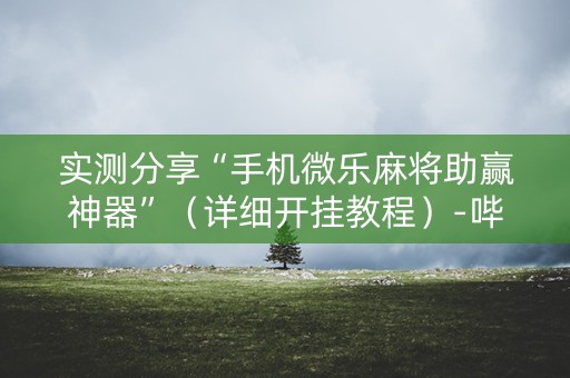 实测分享“手机微乐麻将助赢神器”（详细开挂教程）-哔哩哔哩