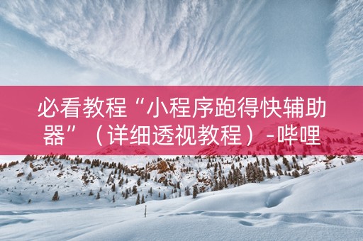 必看教程“小程序跑得快辅助器”（详细透视教程）-哔哩哔哩