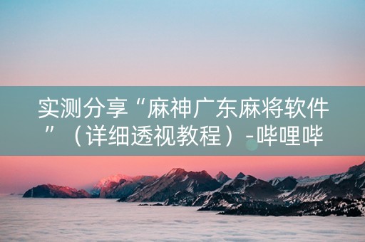 实测分享“麻神广东麻将软件”（详细透视教程）-哔哩哔哩