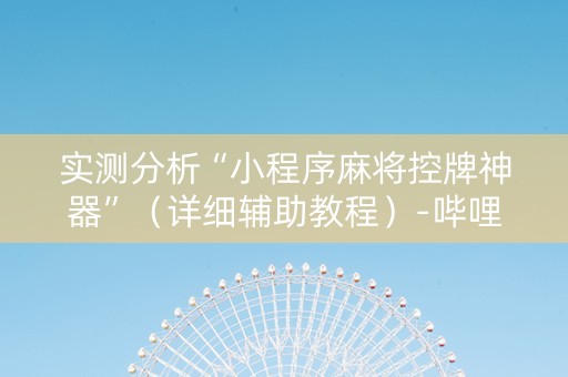 实测分析“小程序麻将控牌神器”（详细辅助教程）-哔哩哔哩