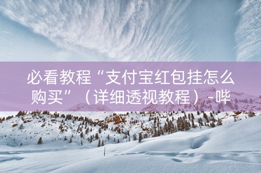 必看教程“支付宝红包挂怎么购买”（详细透视教程）-哔哩哔哩