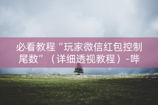 必看教程“玩家微信红包控制尾数”（详细透视教程）-哔哩哔哩