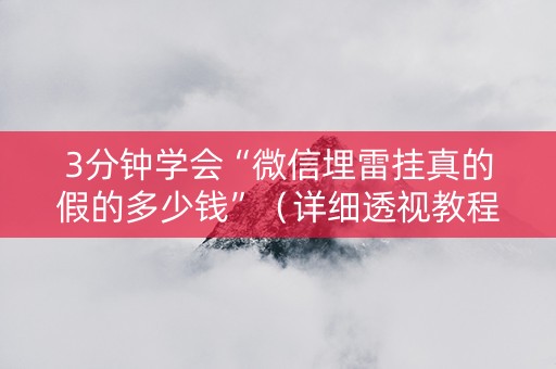 3分钟学会“微信埋雷挂真的假的多少钱”（详细透视教程）-哔哩哔哩