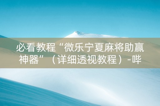 必看教程“微乐宁夏麻将助赢神器”（详细透视教程）-哔哩哔哩
