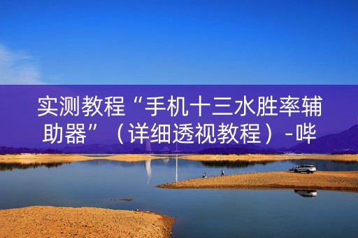 实测教程“手机十三水胜率辅助器”（详细透视教程）-哔哩哔哩