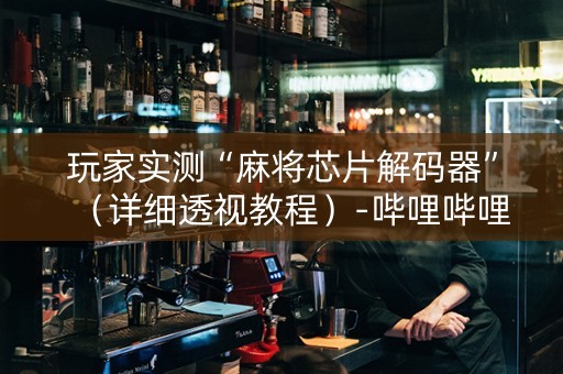玩家实测“麻将芯片解码器”（详细透视教程）-哔哩哔哩