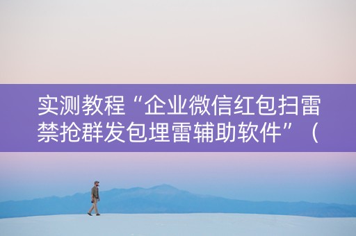 实测教程“企业微信红包扫雷禁抢群发包埋雷辅助软件”（详细透视教程）-哔哩哔哩