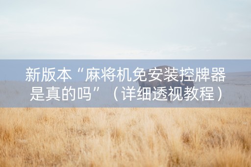 新版本“麻将机免安装控牌器是真的吗”（详细透视教程）-哔哩哔哩