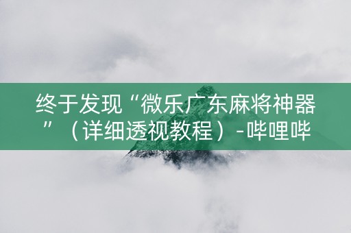 终于发现“微乐广东麻将神器”（详细透视教程）-哔哩哔哩