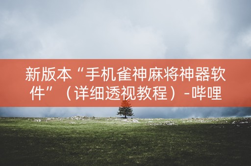新版本“手机雀神麻将神器软件”（详细透视教程）-哔哩哔哩