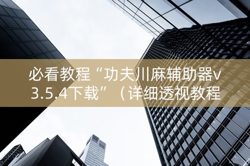 必看教程“功夫川麻辅助器v3.5.4下载”（详细透视教程）-哔哩哔哩